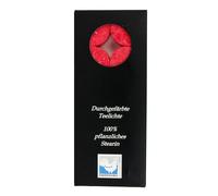 Set de bougies chauffe-plat en stéarine - rouge