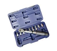 Set de Clé Dynamométrique Proworks 1/4" 2-24Nm Or