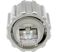 Set de connecteurs RJ45 Conec 17-10013 Contenu: 1 pc(s)