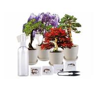 Set de culture de bonsaï avec 4 types de graines