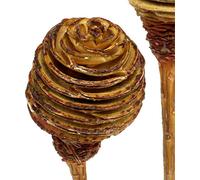Set de décoration Platyspermum crème 50 pcs - Fleurs séchées naturelles pour une décoration d'intérieur et florale de style