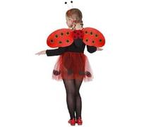 Set de déguisement complet coccinelle -3/8 ans transparent G