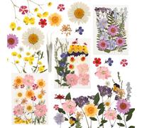Set de Fleurs séchées, 66 pièces de Fleurs pressées & pétales - Fleurs séchées pour Bougies DIY, résine, Bijoux, Fleur séchée Petite pour Scrapbooking & Fleur sechees Decoration.