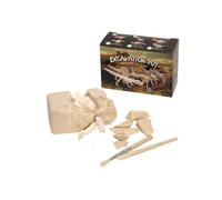 Set De Fossiles À Déterrer - Petit