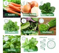Set de graines de légumes et fines herbes "Child's Easy" | 8 types différents comme bande de semences pratique et disque de semences | 4x ruban de graines de légumes 4x disque de graines de légumes