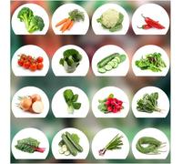 Set de graines de Légumes PRADEMIR - 16 variétés de légumes - Graines 100% naturelles du Portugal - Variétés rares à haut taux de germination