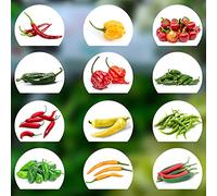 Set de graines de piments PRADEMIR - 12 variétés de piments de piquant à doux - Graines 100% naturelles du Portugal - Variétés rares à haut taux de germination.