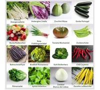 Set de graines de plantes potagères PRADEMIR-16 variétés de légumes-Graines 100% naturelles du Portugal-Variétés rares à haut taux