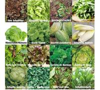 Set de graines de salades PRADEMIR - 16 variétés de salades - Graines 100% naturelles du Portugal - Variétés rares et anciennes