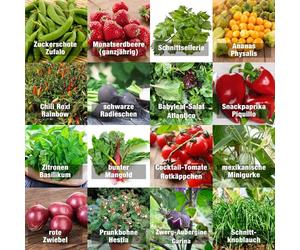 Set de graines "Indoor" PRADEMIR - Set spécial plantation d’intérieur - 16 variétés de fruits, herbes et légumes - Graines 100% naturelles du Portugal - Variétés naines à haut taux de germination