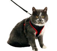 Set de harnais pour chat Harms noir/rouge110 cm 10 mm chat