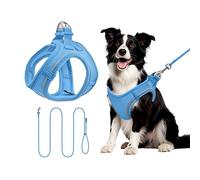 Set de Harnais pour Chien L avec Laisse 255cm - Harnais Robuste en Mesh Anti-Traction - Ajustement Parfait et Contrôle Sécurisé pour Chiens Moyens - Bleu