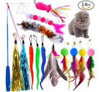 Set de jouets pour chats, plume de chenille, tête de rechange, boule de poils colorée, houppette, canne à pêche rétractable, bâton de chat amusant, 14 pièces, rétractable