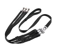 Set de Laisse Triple pour Chien Ajustable Un-à-Trois Nylon Métal chromé Design précision Pratique et Commode Tous Les Types Chiens