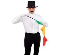 Set de Magicien - PTIT CLOWN - Chapeau Haut de Forme - Gants Blancs - Moustache