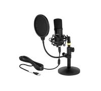 DELOCK 66300 - Set de Microphone Condensateur USB