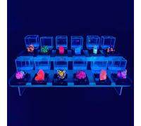 Set de Minéraux Fluorescents - 12 Roches Naturelles Réactives aux UV avec Lampe UV et Support d’Exposition, Collection Géologique pour Étude Scientifique STEM, Éducatif Étudiants et Collectionneurs