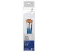 Set de Pinceaux Cotman x3 rond 2/ lavis plat 6MM/ éventail 4