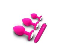 Set de plug anal et vibromasseur