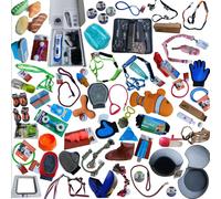 Set de plus de 70 accessoires pour animaux de compagnie Colliers Laisses Jouets Soin du pelage
