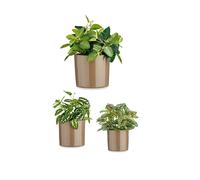Set de pots de fleurs Ibergarden CILINDRO-7006 Taupe Argile Cylindre Ø 14 cm Ø 22 cm Ø 17 cm 3 pièces