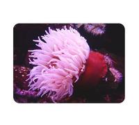 Set de Table Dessous en Caoutchouc Anemone de Mer Rouge et Rose Plongée Vie sous Marine - Grand Format 39,5 x 28,5 cm