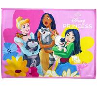 Set de table en tissu pour fille pour fans de princesses, 40 x 30 cm, pour déjeuner, loisirs et école, pliable