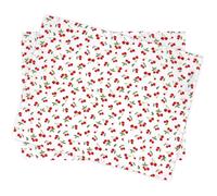 Set de table enduit 35x45 cm CERISES Blanc