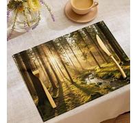 Set de Table Ensemble de 2 Pièces 45x30 cm Dessous de Plat Antidérapant Lavable Jaune-Vert Rectangulaire Coton et Lin - Photographie de forêt La lumière du Soleil Filtre à Travers Les Arbres