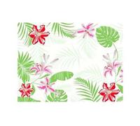 Set de Table Jetable 30x40 cm Tropiocal x 2 Colis de 1000 Duni Sarl