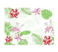 Set de Table Jetable 30x40 cm Tropiocal x 2 Colis de 1000 Duni Sarl 1 G