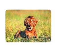 Set de Table Souple Dessous en liège Napperons Brigitte La Lionne Humour Afrique Animaux - Grand Format 39,5 x 28,5 cm
