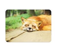 Set de Table Souple Dessous en liège Napperons Renard Endormis Super Mignon Animal Sauvage Foret Nature - Grand Format 39,5 x 28,5 cm