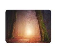 Set de Table Souple Dessous en liège Napperons Soleil Levant dans la Forêt d'automne Troncs moussus - Grand Format 39,5 x 28,5 cm