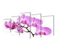 Set de toiles murales imprimées Orchidée 100 x 50 cm Multicolore G