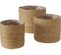 Set de trois cache-pots, algues, SOPHY
