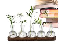 Set de vases - Station, récipient Acrylique | Bol escargots, Terrarium Bureau, écosystème Aquatique, Poissons, Tortues, crevettes, décoration Maison, Spa, Apprentissage de la Propagation