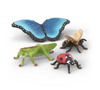 Set découverte : les insectes