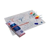 Set En Silicone À Colorier - Savane Multi-coloured TU