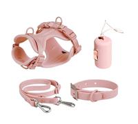 Set laisses pour chien, harnais sans harnais à tirer, collier et laisse animaux petite taille, gilet de coordination