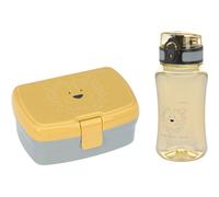 Set lunch box about friends lion