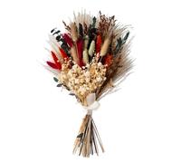 Set mit 55 Trockenblumen, 43 cm Boho-Strauß, dekoratives Pampasgras, natürliche Hasenschwänze, Verschiedene Pflanzen, Erdtöne, mit Band und schützender Verpackung