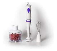 Set mixeur plongeant 3en1 250W Royalty Line RLSMS2502