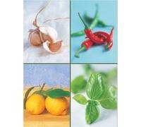 Set of Four Magnetic Notepads: Herbs: A Collection of Handy Notepads with Easy Magnetic Fastening, Contained Within a Decorative Box - [Livre en VO] Peony Press (Auteur)