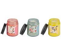 Set Parfumé Rose Kaki Mélisse 3 Bougies 100% Cire de Soja Fruity Bloom