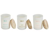 Set Parfumé Rose Kaki Mélisse 3 Bougies 100% Cire de Soja Simplicity