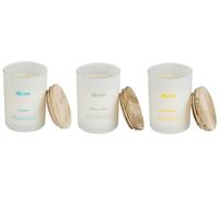 Set Parfumé Rose Kaki Mélisse 3 Bougies 100% Cire de Soja Simplicity Fr.