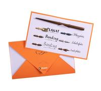 SET PORTE-PLUME ET PLUMES DE CALLIGRAPHIE ET D'ECRITURE