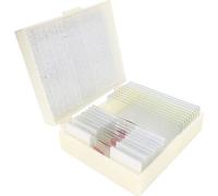 Set préparatoire de cônes pour l'enseignement de la biologie 2 (10 pièces)