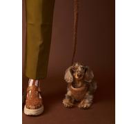 VERTBAUDET Set Promenade pour Chien : Harnais Et Laisse Chocolat S/M
